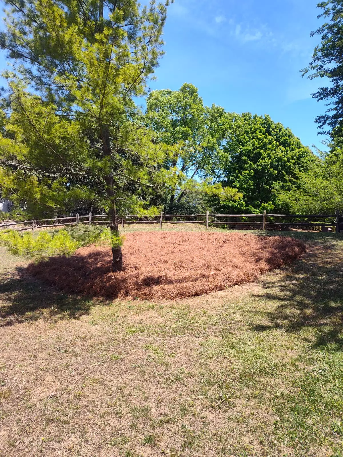 fotos (19)